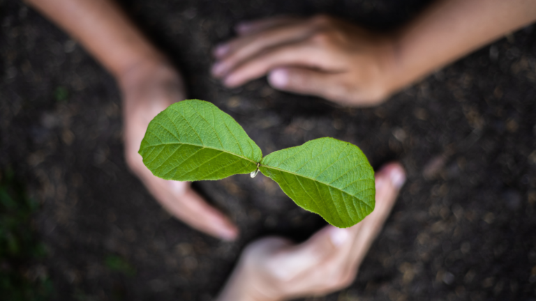 Embracing the Beauty of Small Beginnings